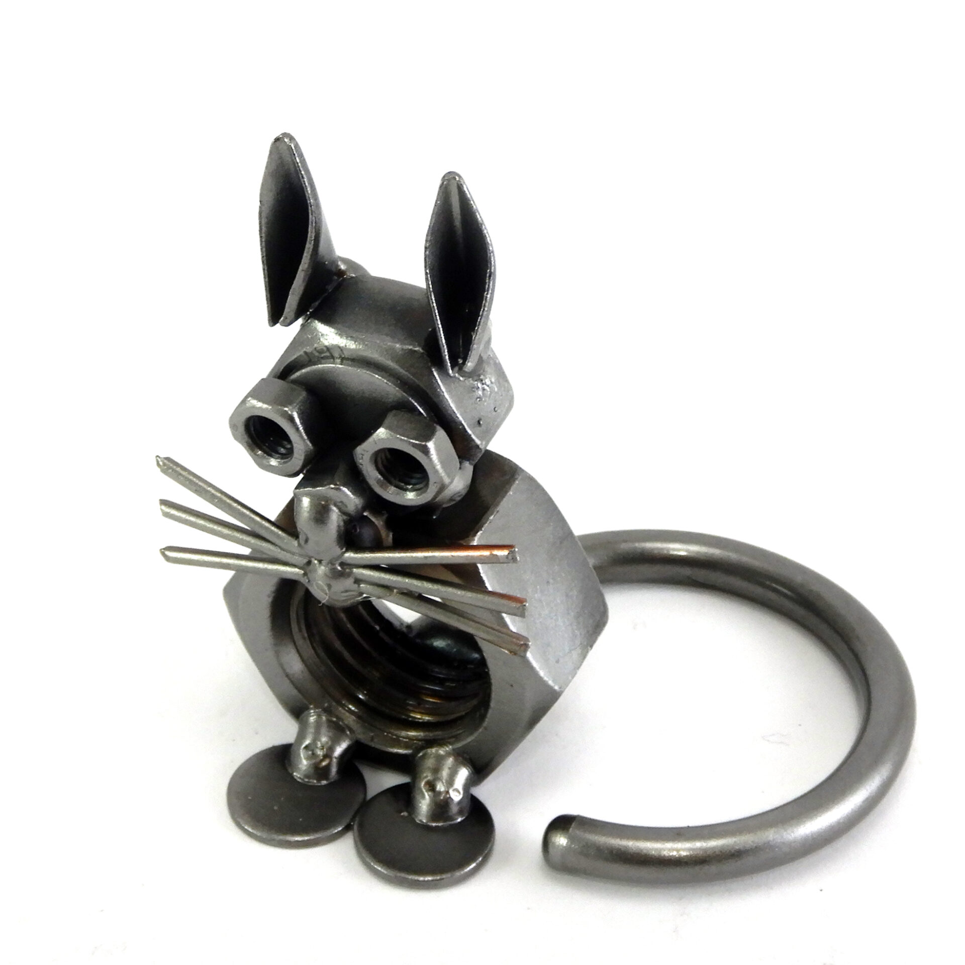 508 Gattino1