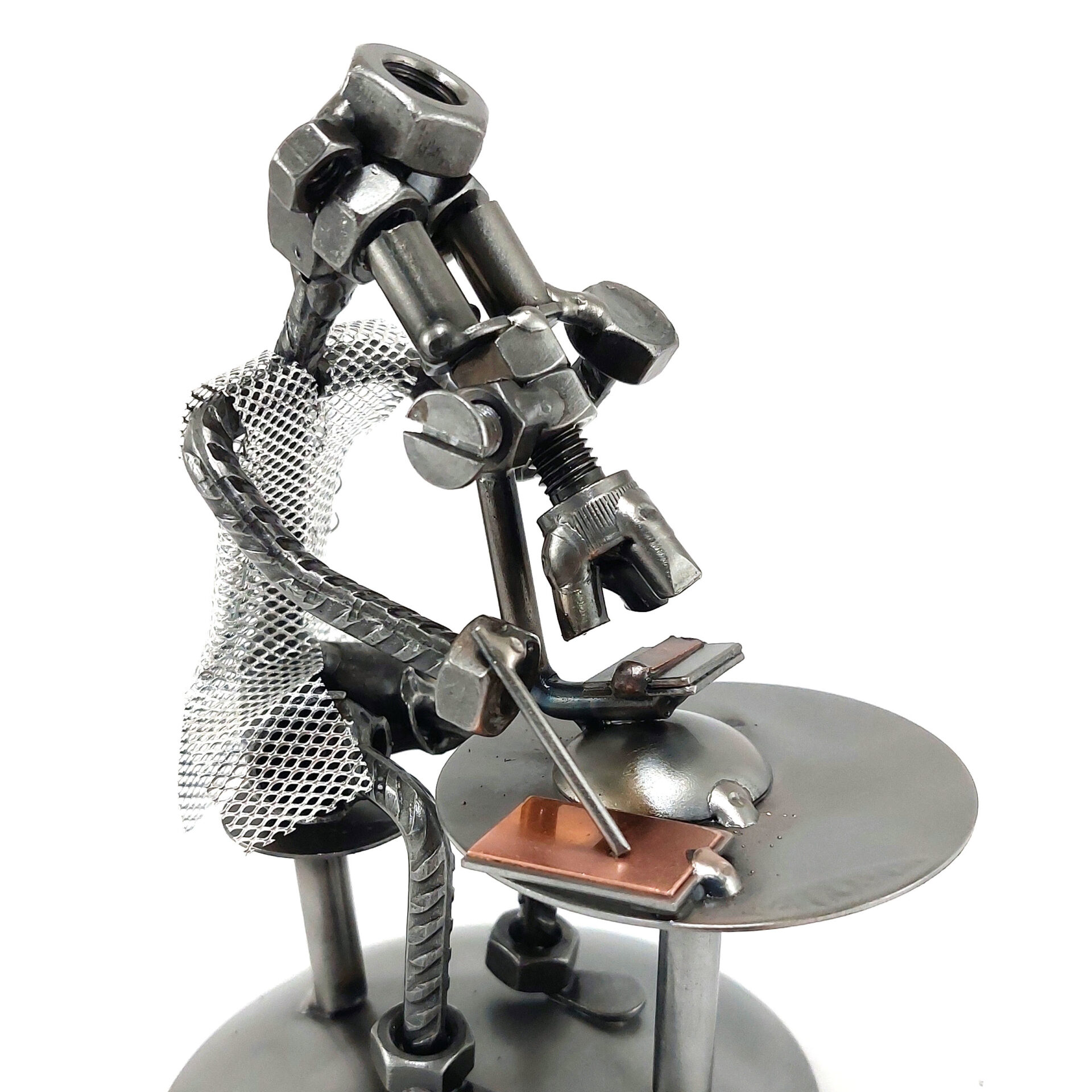 scultura biologo